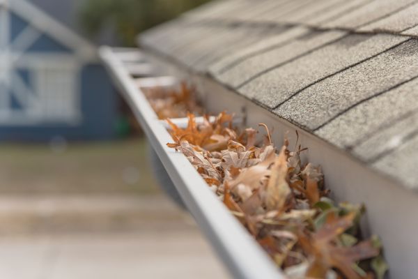 Leaf Barrier Installation in Grove City